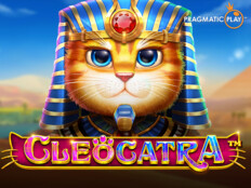 Cats casino77